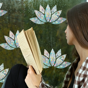 Rainbow prism lotus window film creates holographic effects for privacy and decor