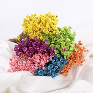 Dried Star Flowers Natural Glixia Flower Bouquet Mini Daisy For Home Decor DIY Crafts Wedding Party Rustic Pastoral