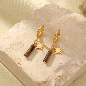 Gold star and brown tiger eye stone earrings on stone texture background