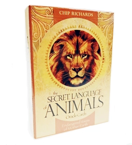 Detail of The Secret Language of Animals Oracle Cards box featuring Chip Richards artwork