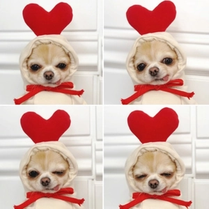 Beige knitted pet sweater with red hearts and bow for small medium dogs and cats