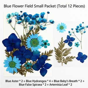 Dettaglio del set di fiori secchi blu con ortensie e margherite per creazioni in resina