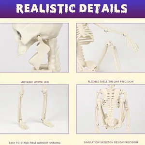 Realistic 40cm Halloween skeleton with movable jaw and flexible joints for garden decor