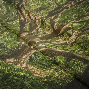Detail showing high-definition forest print on soft polyester fabric for room decor tapestry