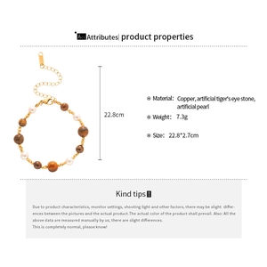 Vue détaillée du bracelet en oeil de tigre et perles avec fermoir mousqueton réglable