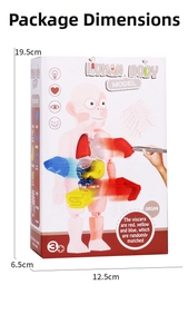 Detail view of DIY human body model with colorful removable organs and tweezers for kids