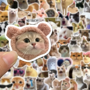 Close-up of cute meme cat stickers featuring funny expressions and a pink bear hat