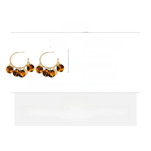 Macro view of leopard print resin circles and gold alloy hoops with size measurements
