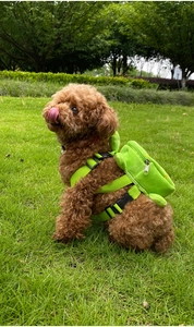 Detail of green pet harness with plush frog backpack and adjustable buckle in the grass