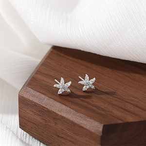 925 Sterling Zilver Zeester Oorknopjes Voor Vrouwen Prachtige Micro Ingelegde Zirkonia Minimalistische Sieraden