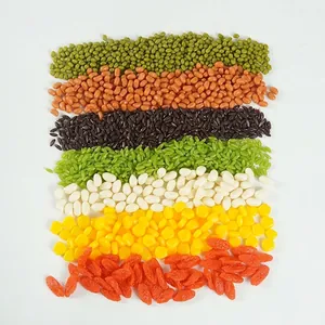 Realistic Artificial Food Simulation Grains Nuts Dried Fruits PVC Plastic Photography Props Kitchen Pretend Play Education DIY
