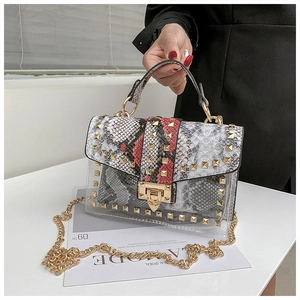 Detail showing snake pattern PU material under transparent PVC with gold studs and lock
