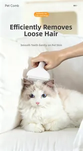 Detail showing white pet comb removing loose fur from long-haired cat on white sofa