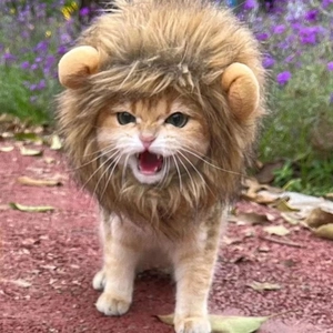 Funny lion mane wig for cats and small dogs, perfect costume for Halloween party