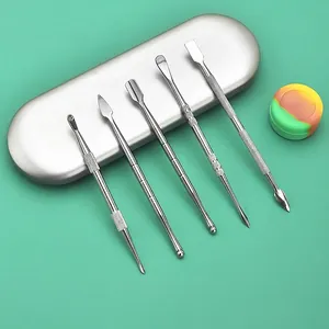 Kit d'outils 5 pièces en acier inoxydable avec étui argenté et pot en silicone coloré