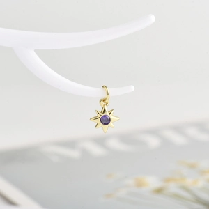 Macro shot of an eight-pointed star pendant with gold plating and purple zircon stone