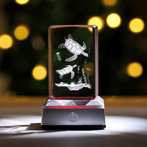 Macro shot of 3D laser engraved crystal cube with sea life and glowing LED base