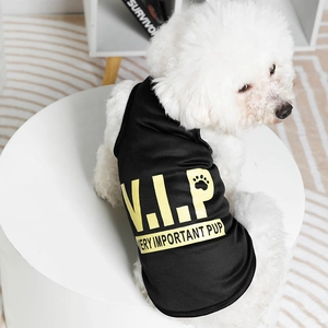 Sporty black pet vest with VIP letter print for small dogs on a white Bichon model