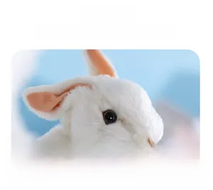 Detailed close-up of a white plush rabbit toy showing soft fur and pink inner ears