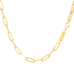 Gold titanium steel paperclip link chain necklace with rectangular tag on white background