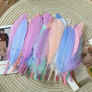 Colorful natural goose feathers for DIY dreamcatchers and wedding decor crafts