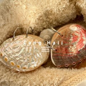 Detail view of iridescent natural abalone shell notepad with metal rings on soft fabric