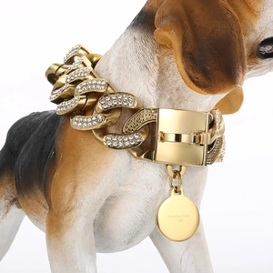 Detail of 18K gold-plated stainless steel dog collar with diamonds on a beagle model