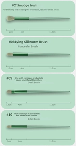 Detailed specs of four mint green makeup brushes including blending and concealer tips