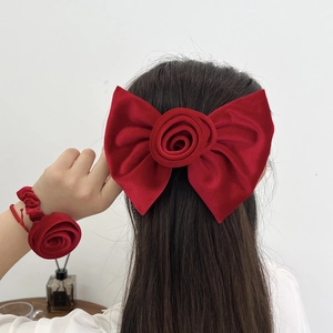 Détail de la pince à cheveux rose en velours rouge et de l'élastique assorti