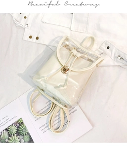 Flat lay of a transparent PVC backpack with a cream leather pouch and gold hardware