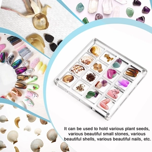 Detailed view of 16-compartment clear acrylic box showing shells and seeds