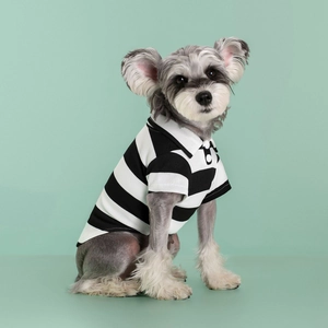 Close-up of black and white striped dog polo shirt with breathable mesh cotton fabric