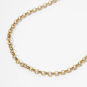 Close-up of golden stainless steel O-chain necklace showing polished links on white background