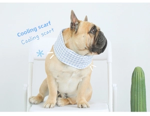 French bulldog wearing a blue checkered cooling scarf for summer heatstroke prevention