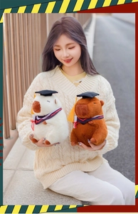 Close-up of cute graduation capybara plushies in academic gowns for graduation gifts