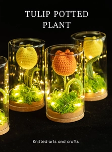 Set di 4 luci notturne a tulipano lavorate a maglia in cupole di vetro con luci a LED e sughero