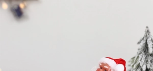 Close-up of plush Santa Claus figure next to a snow-flocked miniature Christmas tree decor