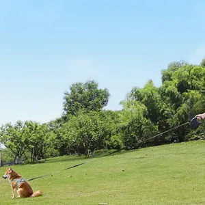 Retractable 8m dog leash with yellow harness on Shiba Inu in grassy park setting