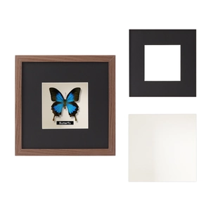 5cm deep wood grain shadow box frame with glass for butterfly and dried flower specimens