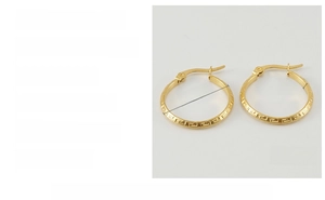 Especificaciones detalladas de pendientes de acero de titanio oro 23x23mm con greca