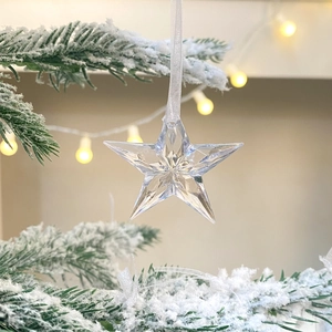 Transparent acrylic star ornament with faceted design hanging on a snowy Christmas tree branch