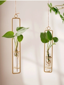 Detail of hanging glass test tube vases in gold metal frames for wall plants