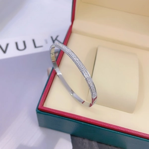 Polished silver titanium steel bangle with double-row sparkling zircons in a jewelry gift box