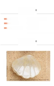 Macro detail of mini shell-shaped heart hair claw clip in pearl white acrylic material