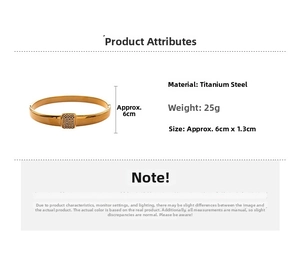 Detailed size and specs of gold titanium steel bangle with pavé crystal rectangle
