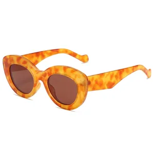Cat Eye Sunglasses Retro Thick Oval Frame UV400 Protection Y2K Fashion Eyewear For Women Men Travel Streetwear