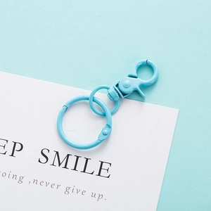 Detail of light blue metal lobster clasp and key ring with a sleek matte finish