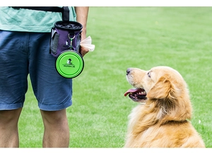 Outdoor training set with purple treat pouch and green folding bowl on a golden retriever