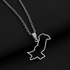 Detailed macro view of silver Pakistan map outline pendant on a thin link chain