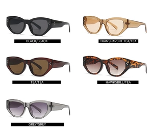 Cat-Eye-Sonnenbrillen Kollektion in Schwarz, Transparent Braun, Tee, Schildpatt und Grau